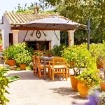 Vadell Pollensa