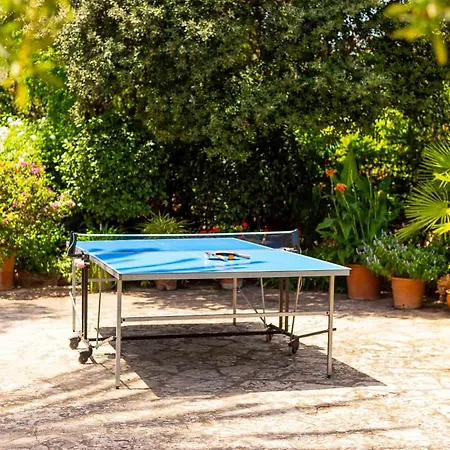 Vadell * Польєнса